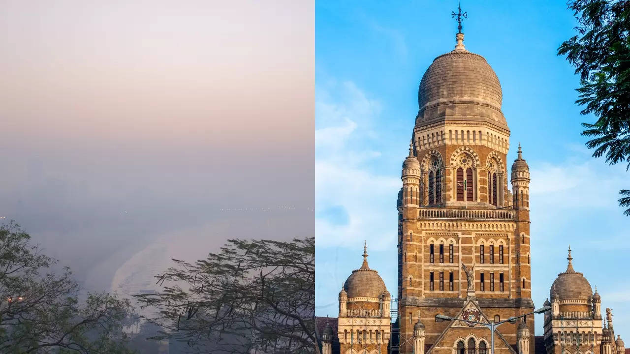 The BMC was blasted for merely defining smog in its Mumbai air-pollution advisory. | Getty/Canva