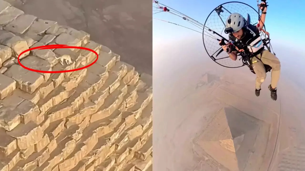 Paramotorist Finds Dog Chasing Birds on Top of the Great Pyramid of Giza