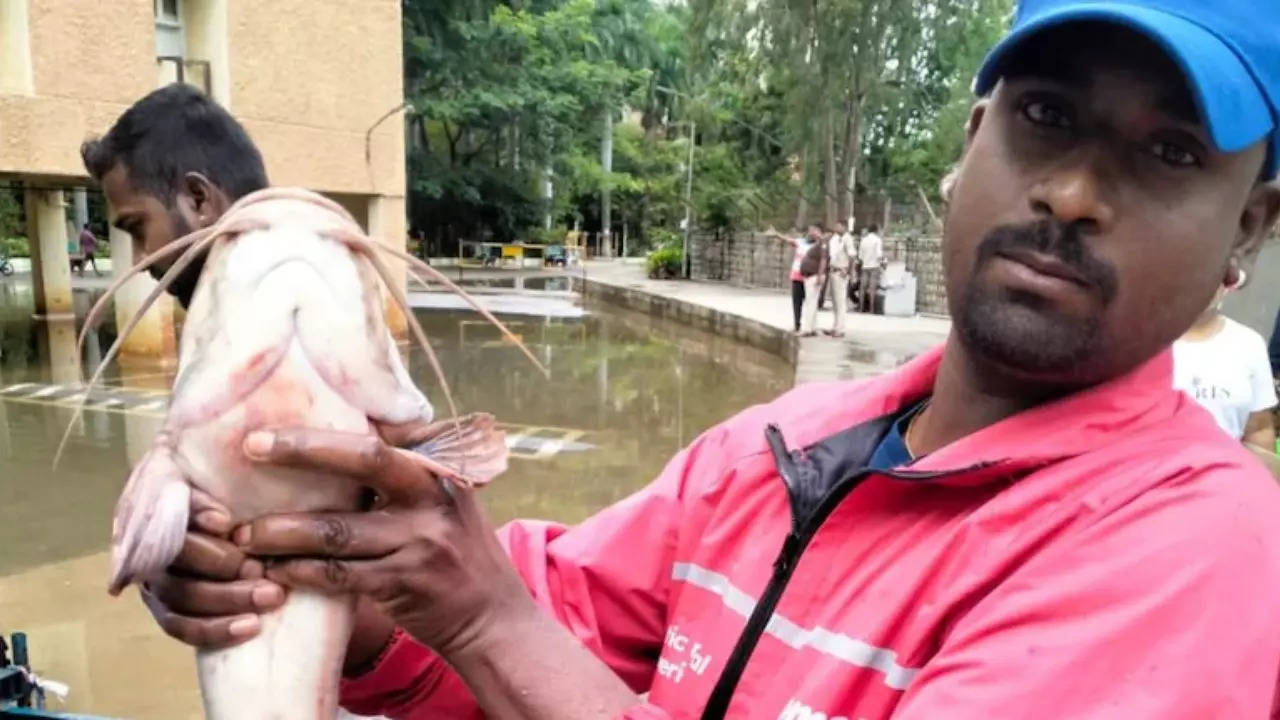 Bengaluru rain: Residents catch fish in flooded basement