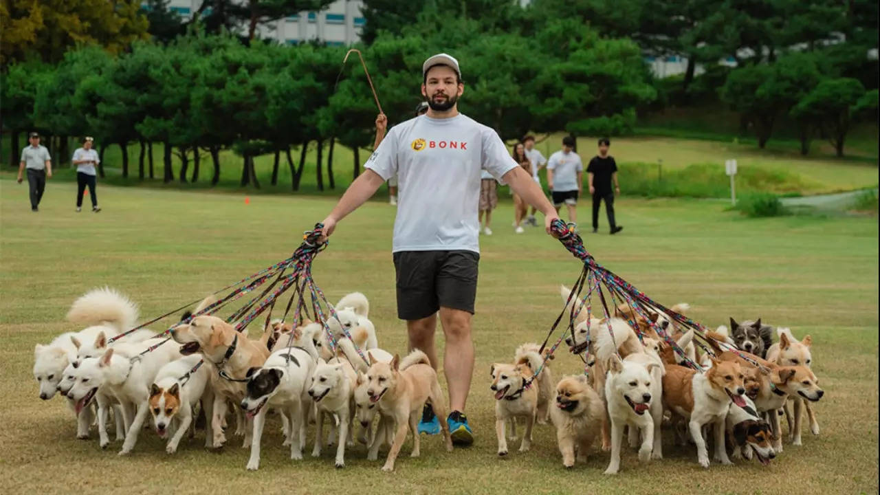 Mitchell Rudy walks 38 dogs on a leash. | Courtesy: Guinness World Records