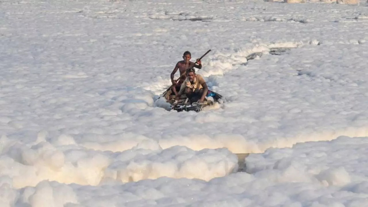 Smog in Delhi: Journalist Takes A Dip In Yamuna's Toxic White Foam During Boat Ride (Representative image)