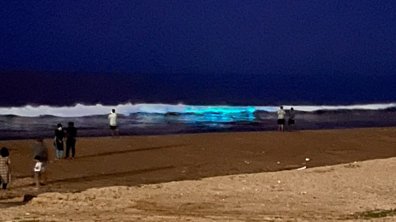 Chennai beach glows in blue