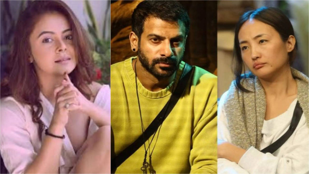 Bigg Boss 18: Devoleena Bhattacharjee SLAMS Karan Veer Mehra, Calls Chum Darang 'Disgusting'