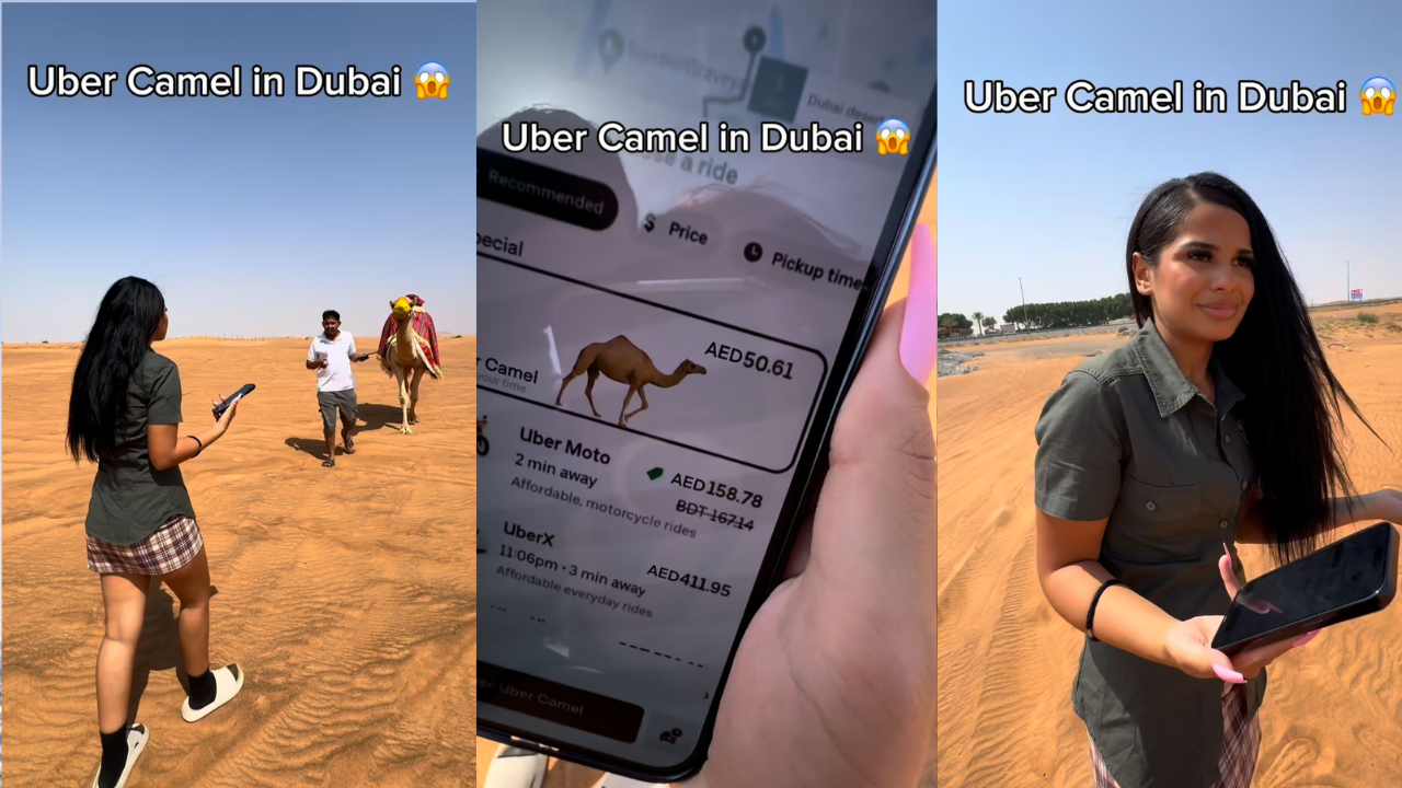 Woman In Desert Orders Camel Through Uber, Internet Is Not Ready To  Believe 