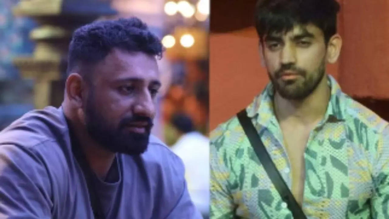 Bigg Boss 18: Rajat Dalal Apologises To Avinash Mishra For Saying 'Girls Aren't Safe With Him'