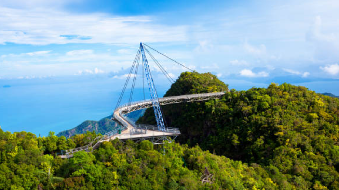 Mumbai's first elevated forest walkway (Representational Image)