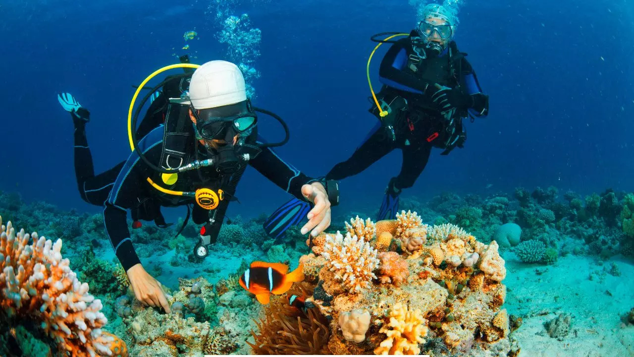 Couple Gets Married Underwater In The Red Sea. Credit: Canva (Representational Image)