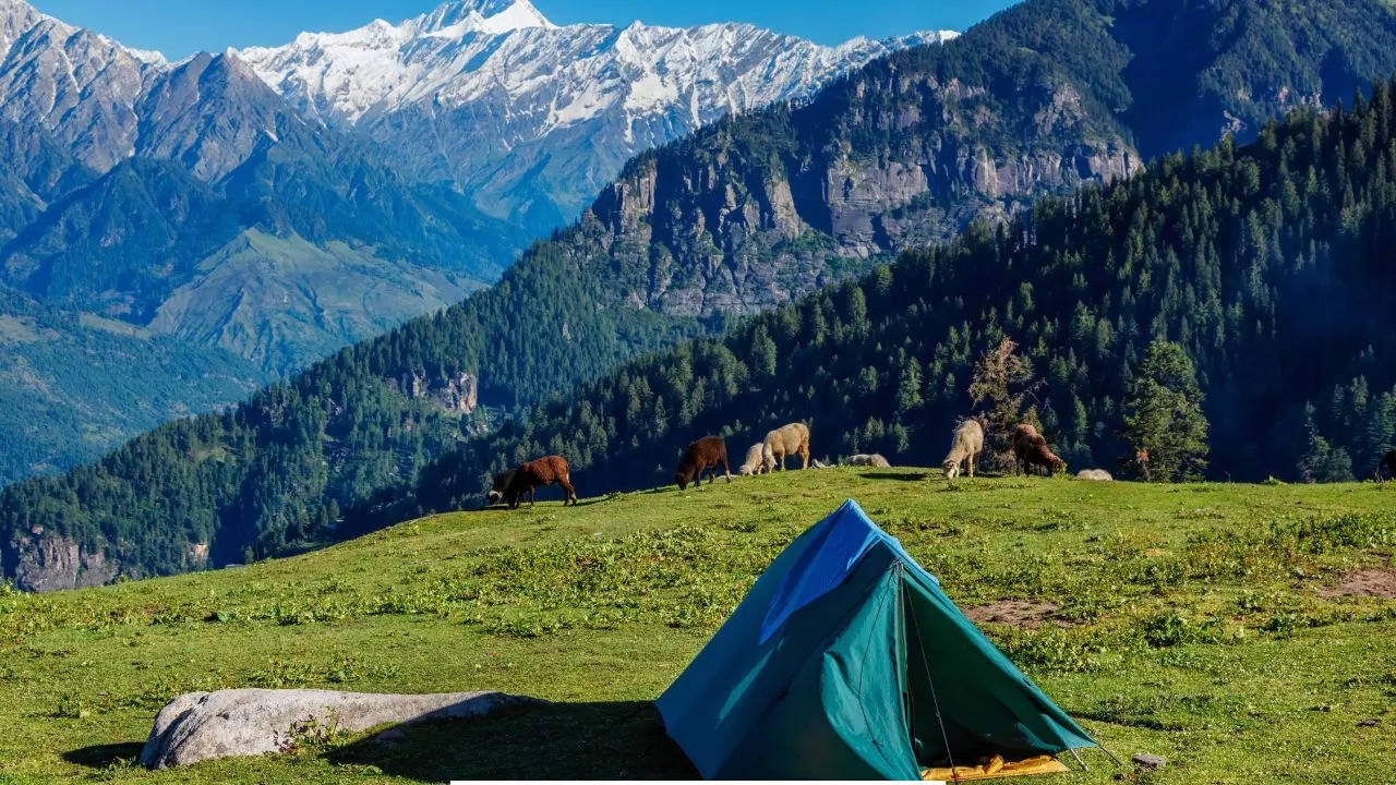 Your Safari Guide To Exploring The Wonders of The Great Himalayan National Park. Credit: Canva