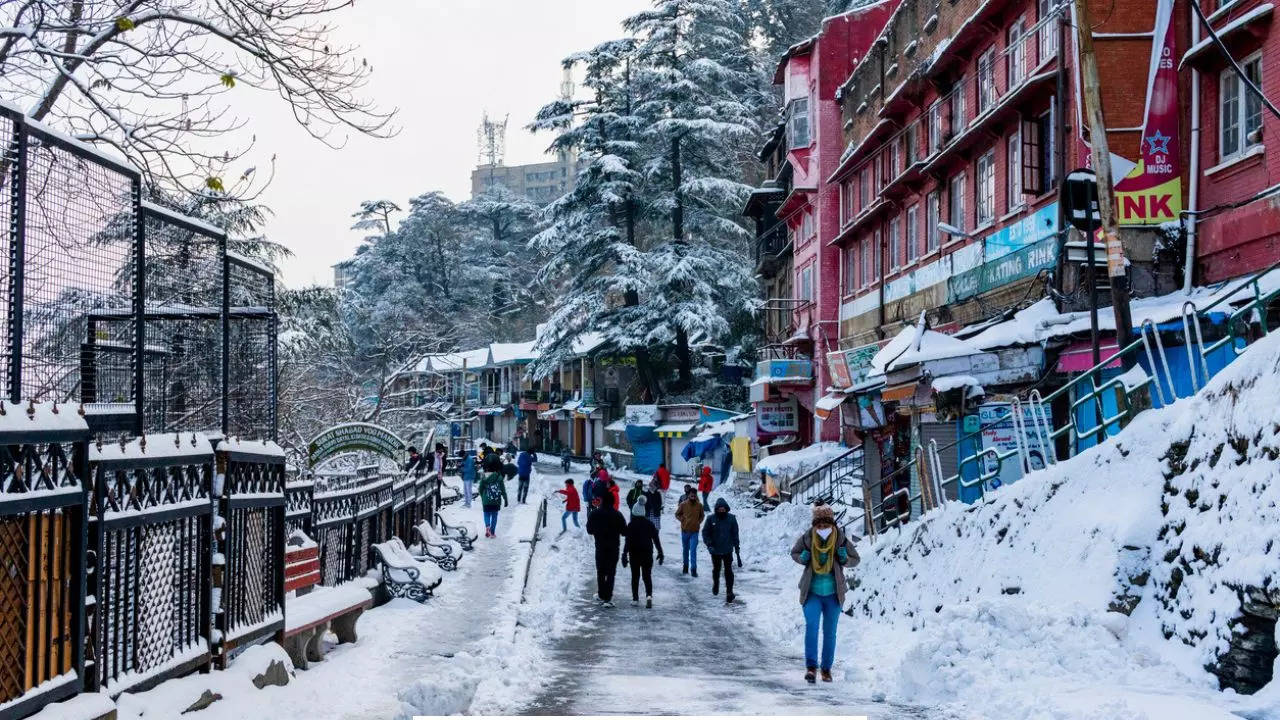 A 48-Hour Guide To Shimla’s Snowy Wonderland. Credit: iStock