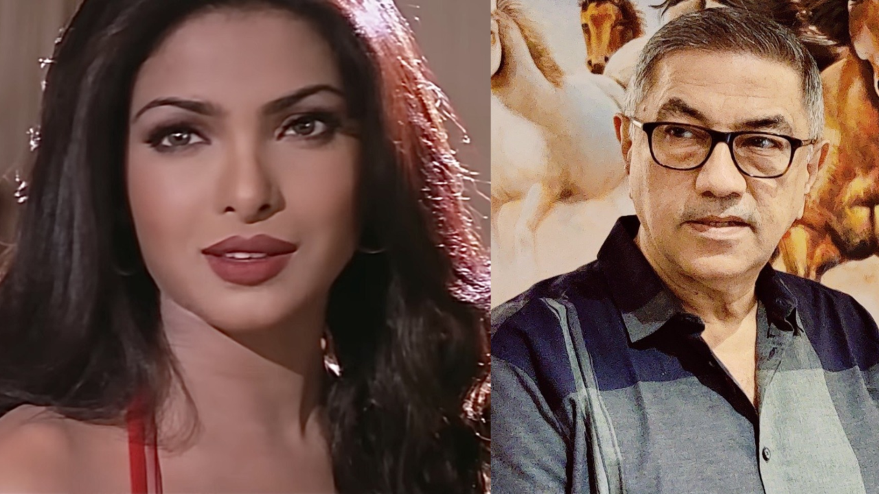 ​Priyanka Chopra's Voice Was Zabardast, Her Eyes Were So Khatarnak: Suneel Darshan Recalls Casting Actress For Andaaz​ (Image Credit: X)