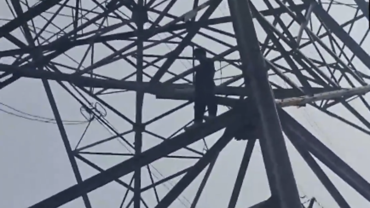 Man Climbs High-Voltage Electric Pole in Delhi, Safely Brought Down by Police and Fire Brigade