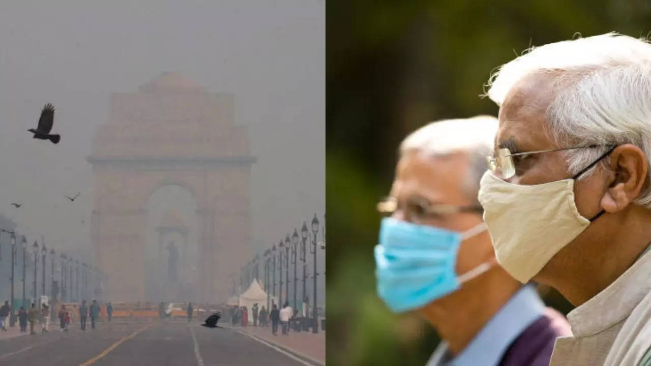 Delhi-NCR Is A Gas Chamber Right Now, Says Environment Expert