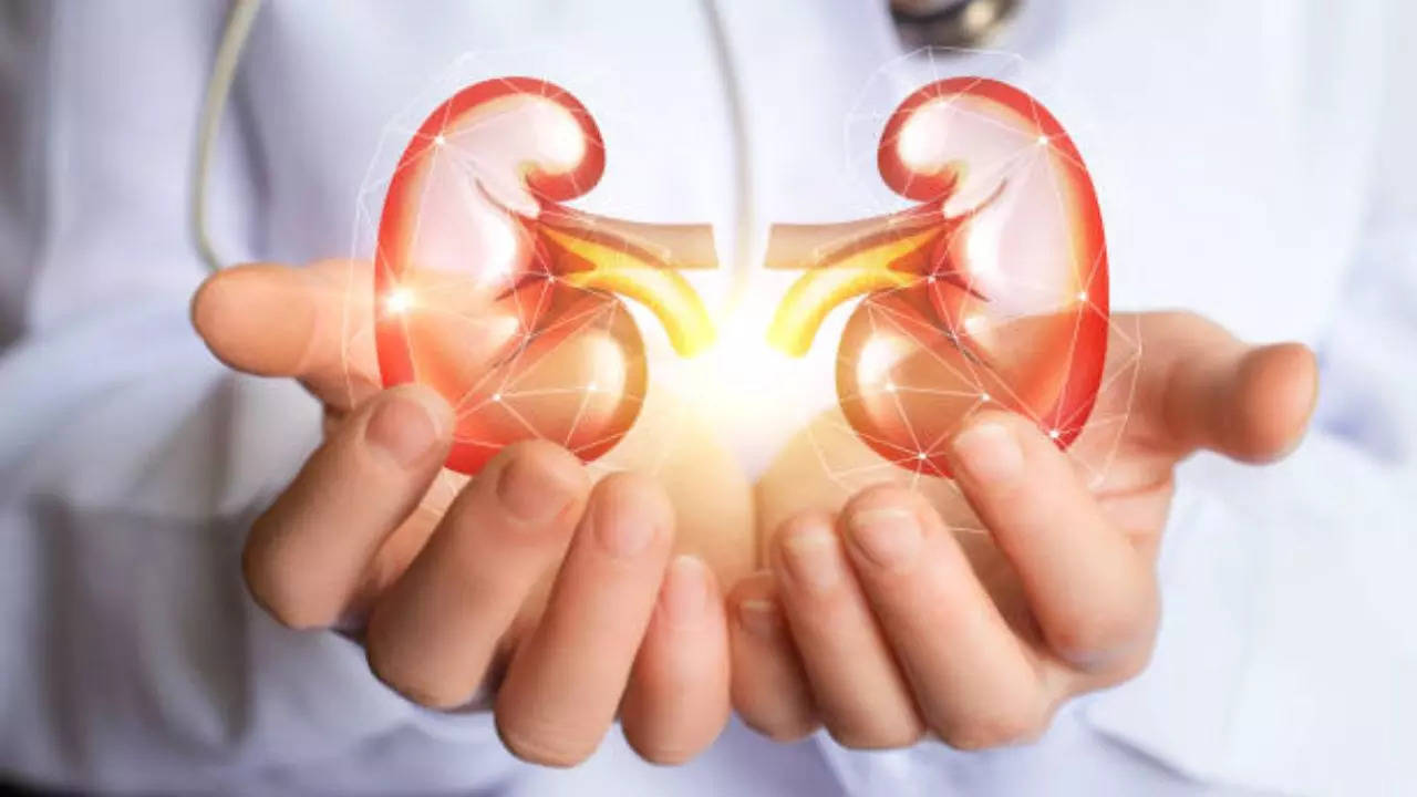 Daily Habits To Follow To Keep Your Kidneys Healthy​