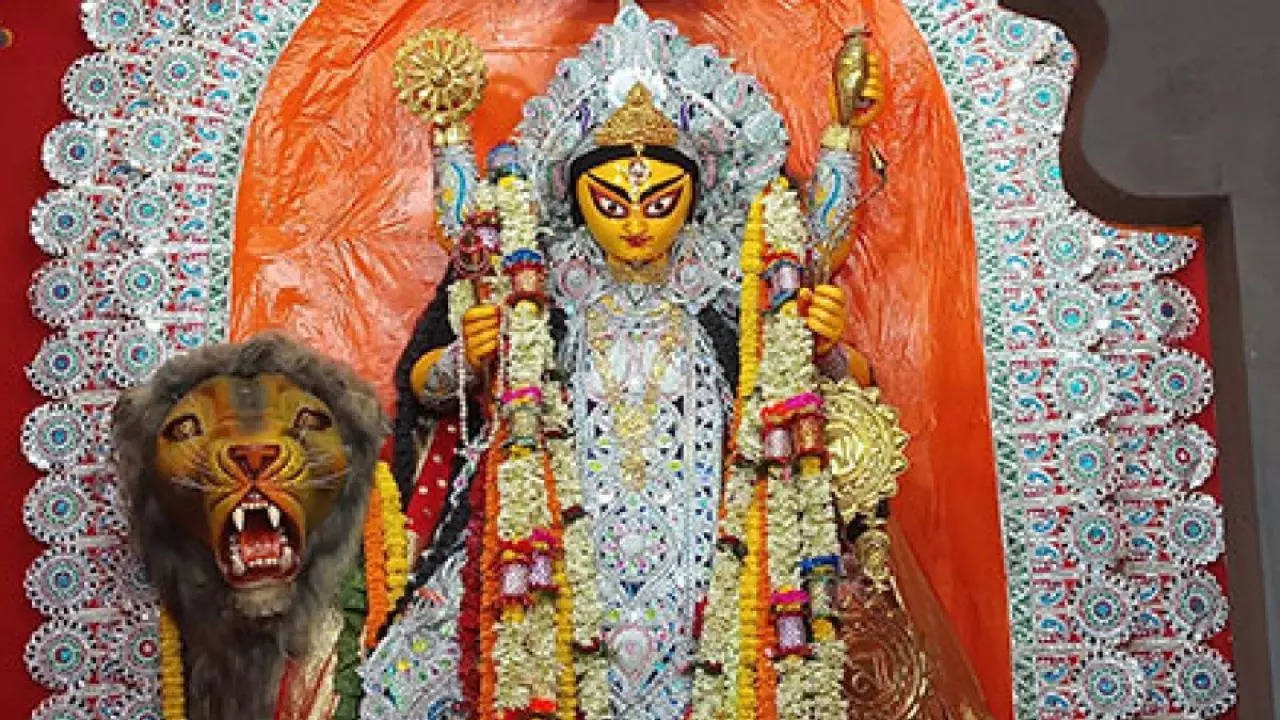 jagadhatri Puja