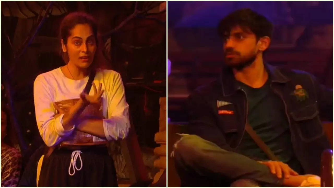 Bigg Boss 18: Shrutika Arjun BASHES Avinash Mishra