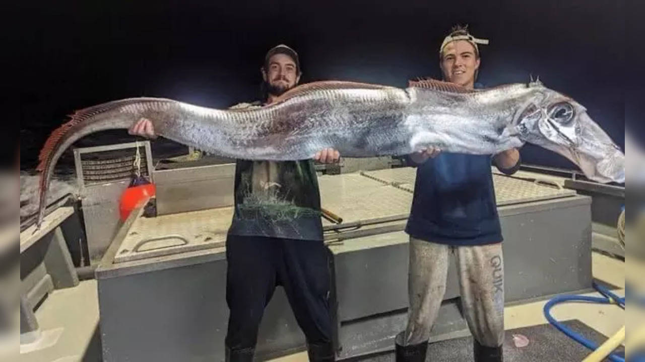 Doomsday Fish Caught In Australia   (Photo Credits: X/Twitter)