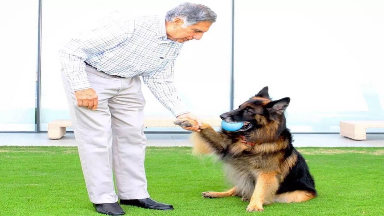 Ratan Tata Ensures 'Unlimited' Care For His Beloved Furry Friend Tito Through His Rs 10k Crore Will