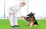 Ratan Tata Ensures Unlimited Care For His Beloved Furry Friend Tito Through His Rs 10k Crore Will