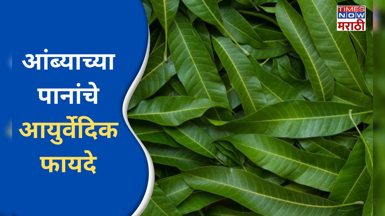 benefits of mango leaves in marathi