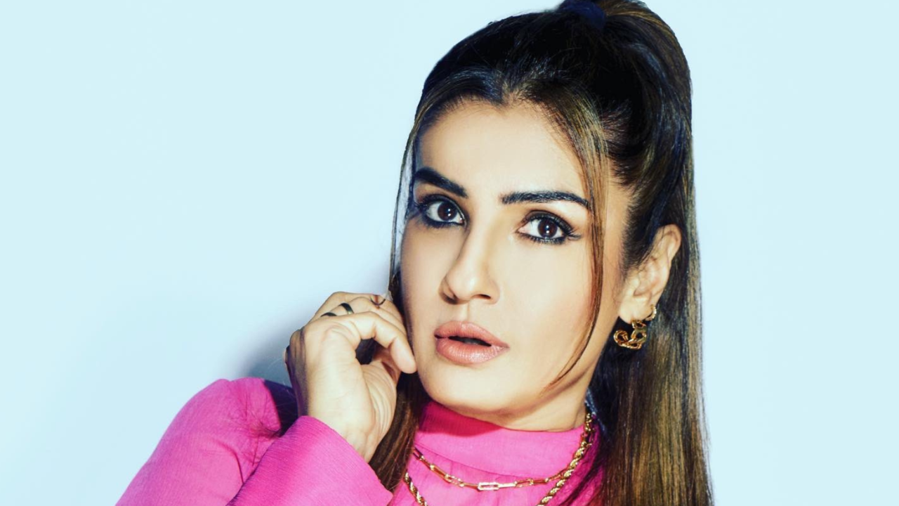 Raveena Recalls Landmark Moments Of Life On 50th Birthday: My Breakthrough Roles Like Mohra, Andaz Apna Apna...| EXCL (Image Credit: Instagram)