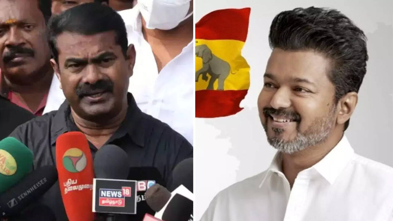 TVK Maanadu: விஜய் மாநாடு.. வீச்சும்.. ரீச்சும் அதிகம்.. எங்களுக்கு இவ்வளவு  ஆதரவு இல்ல.. சீமான் ஆதங்கம்! | Times Now Tamil