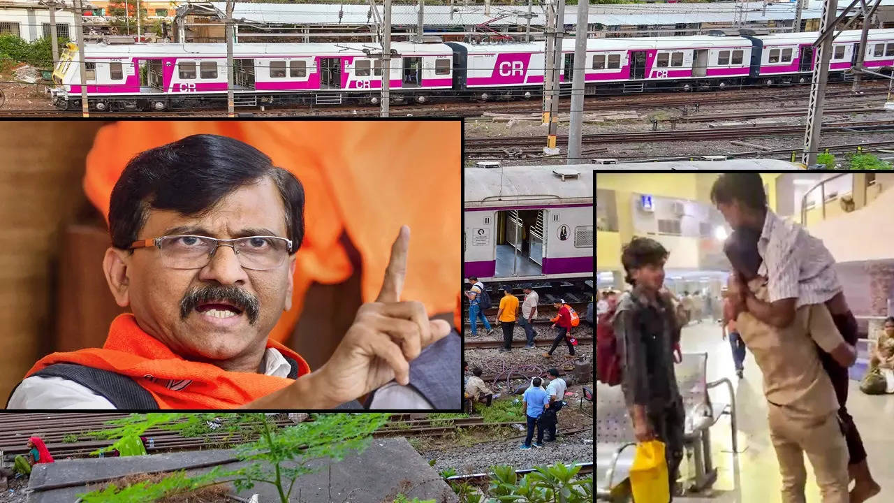 Sanjay Raut (Photo: PTI/Times Now)