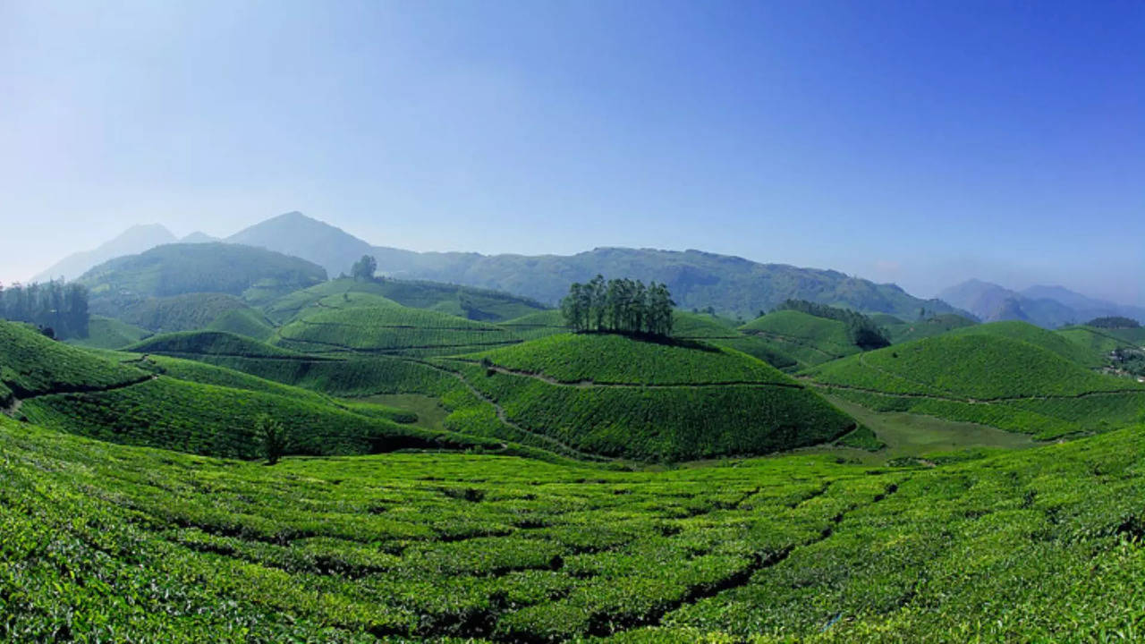 Places to Visit in Munnar