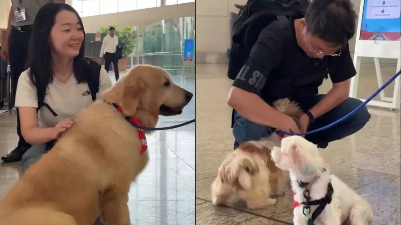 Mumbai Airport Launches 'Pawfect' Initiative