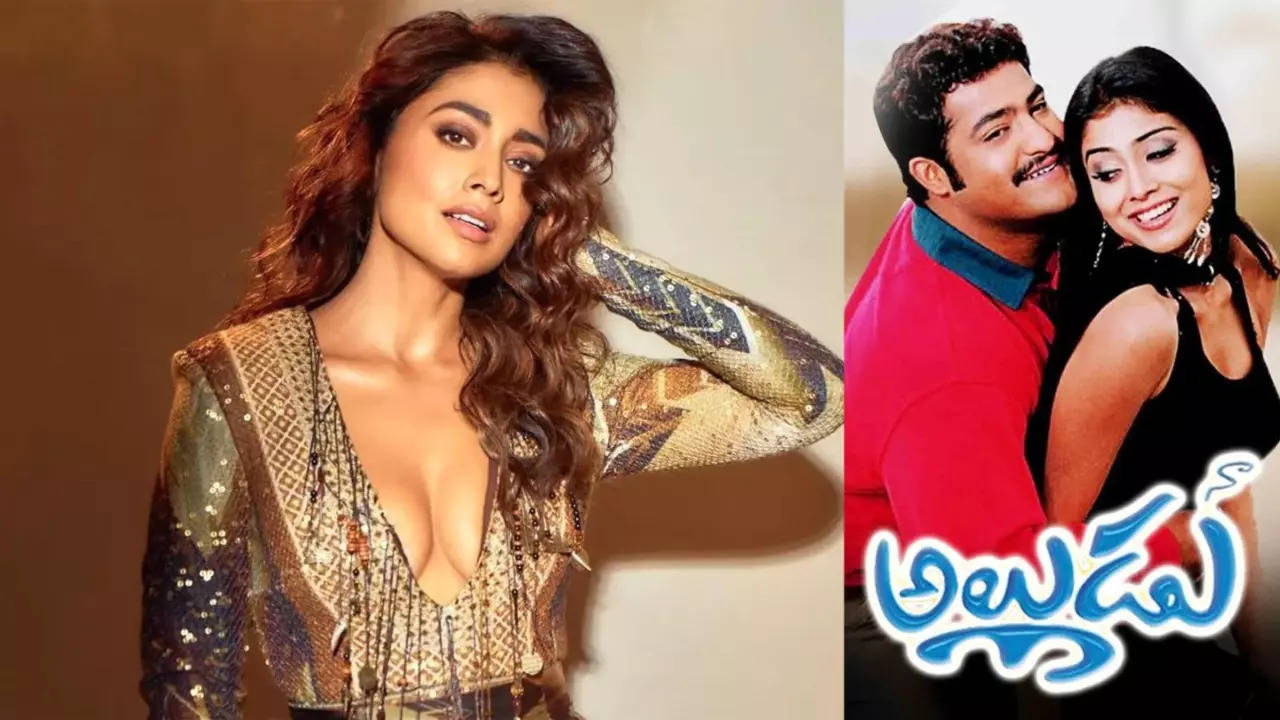 ntr shriya in naa alludu movie