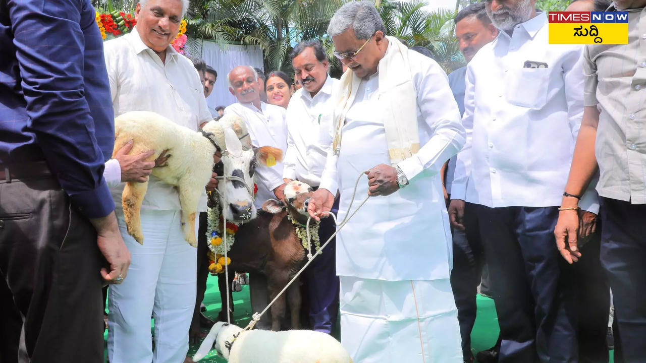 ಸಿದ್ದರಾಮಯ್ಯ, ಸಿಎಂ