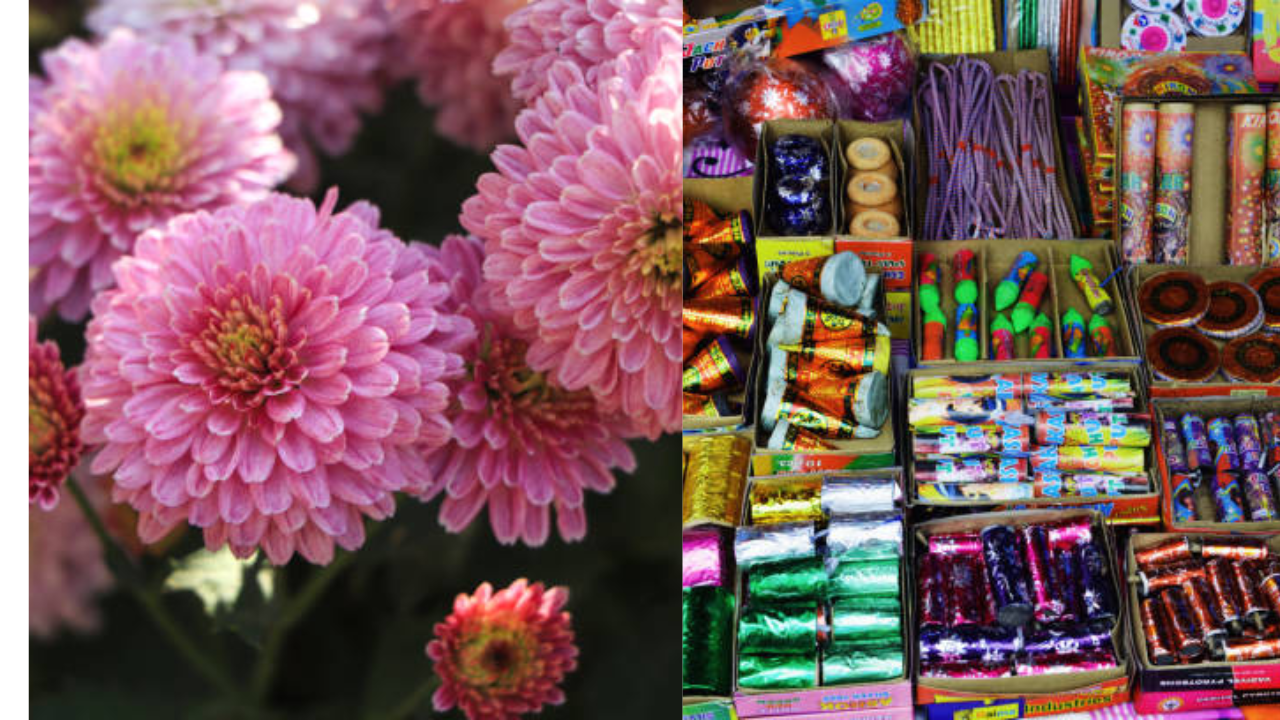 Firecrackers and plant sapling Kolkata shopkeeper