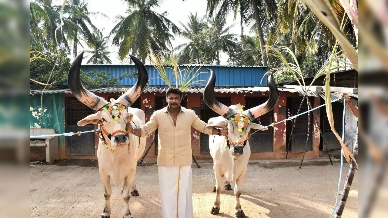 Kannada actor Darshan