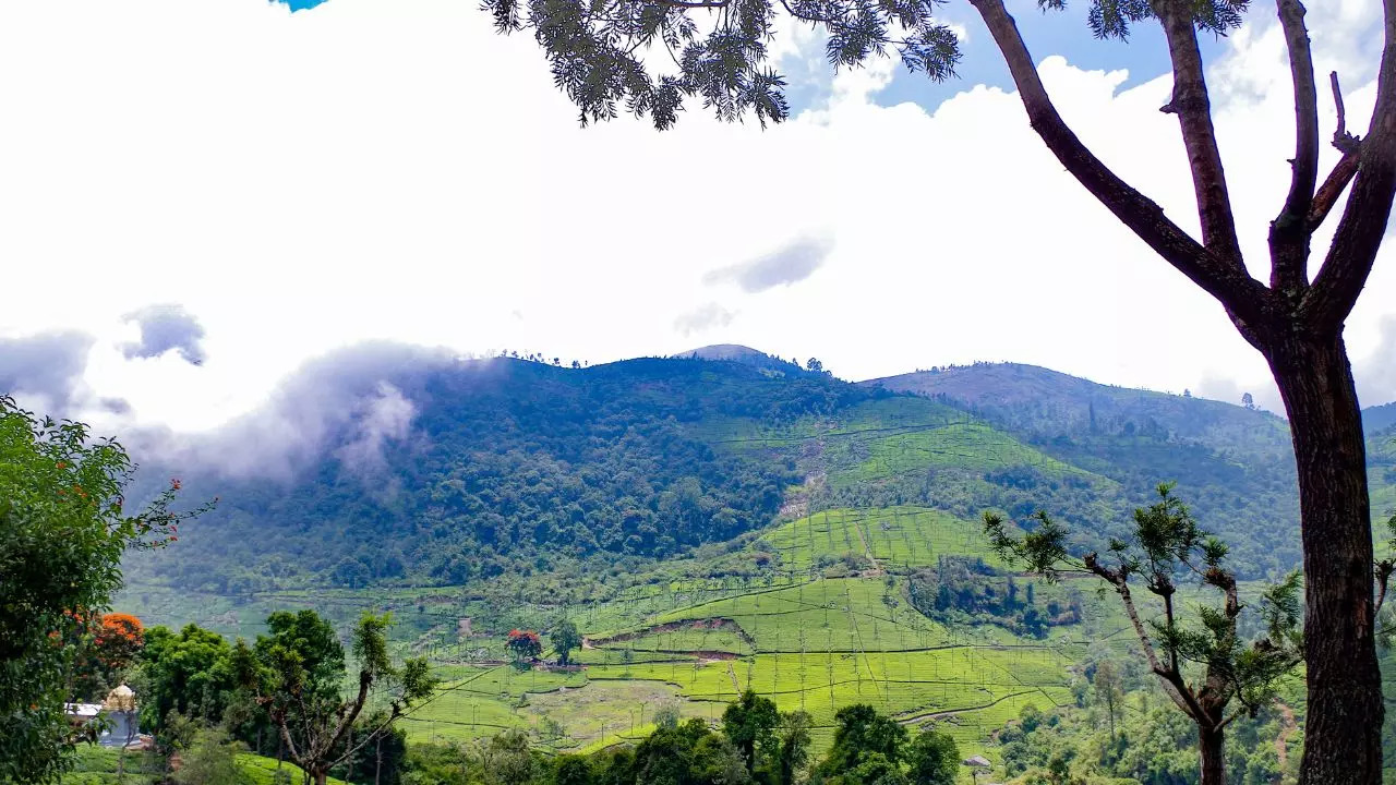 Coonoor