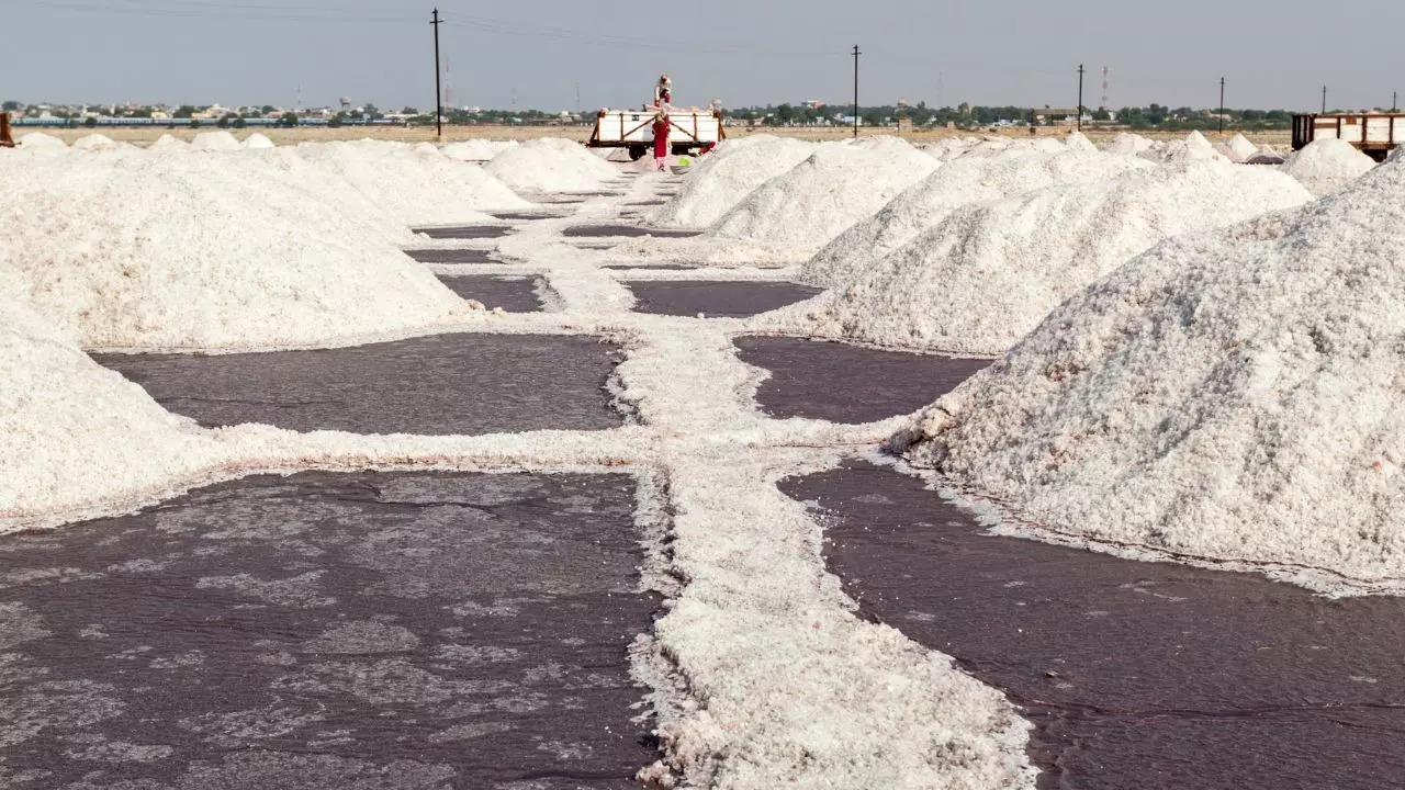 24 Hour Winter Travel Guide to Sambhar, Rajasthan: India’s Hidden Salt Lake