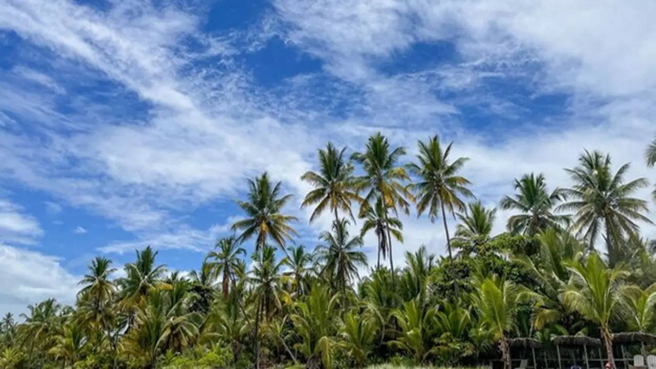 Konkan (Photo: Freepik)