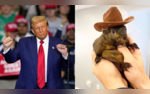 Trumps Fake Comment On Viral Peanut The Squirrel Surfaces Elon Musk Fumes