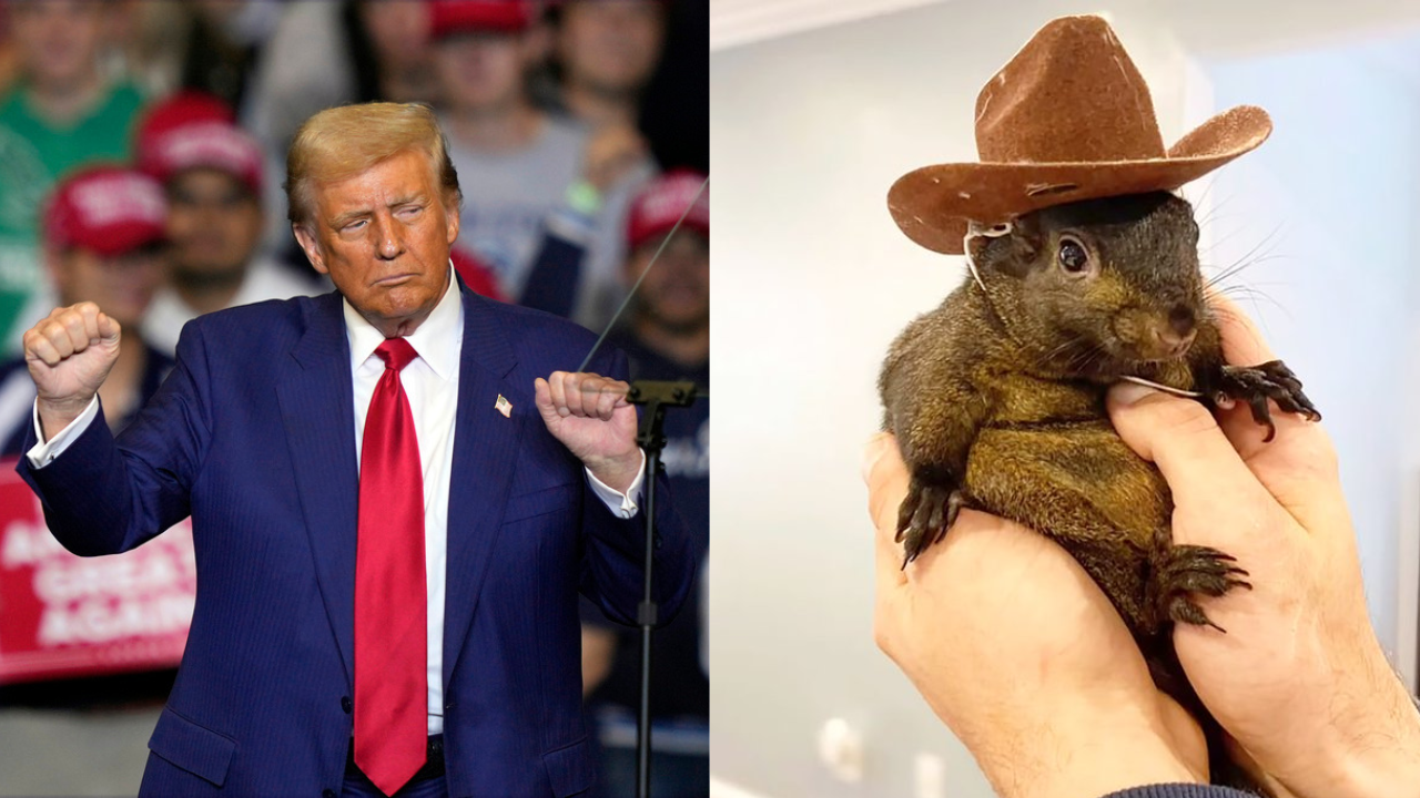 Trump Peanut The Squirrel