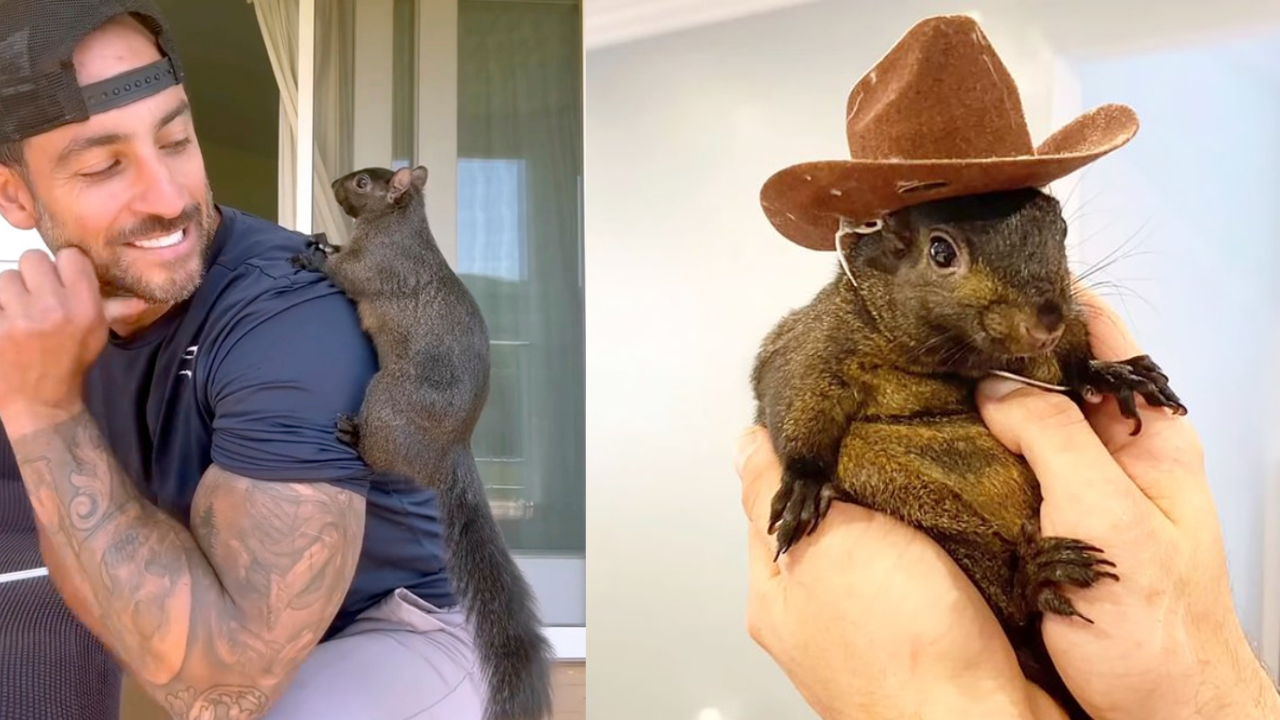 Mark Longo Peanut the Squirrel