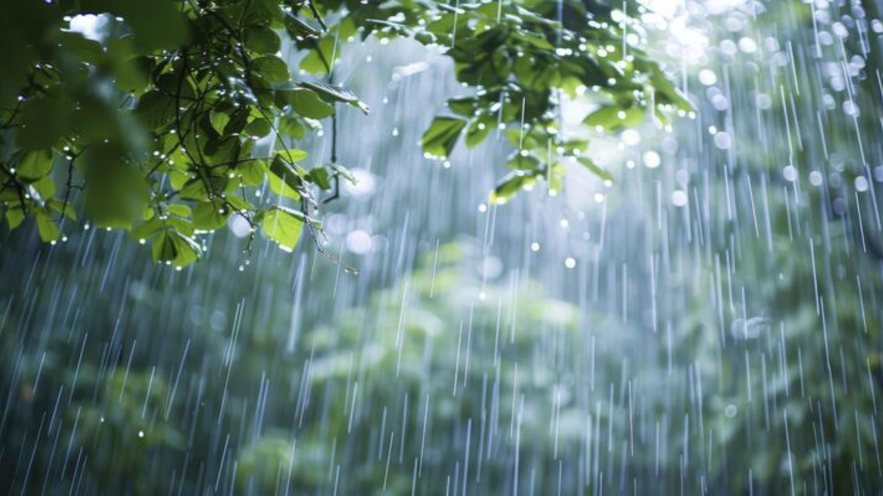 Kerala Rain