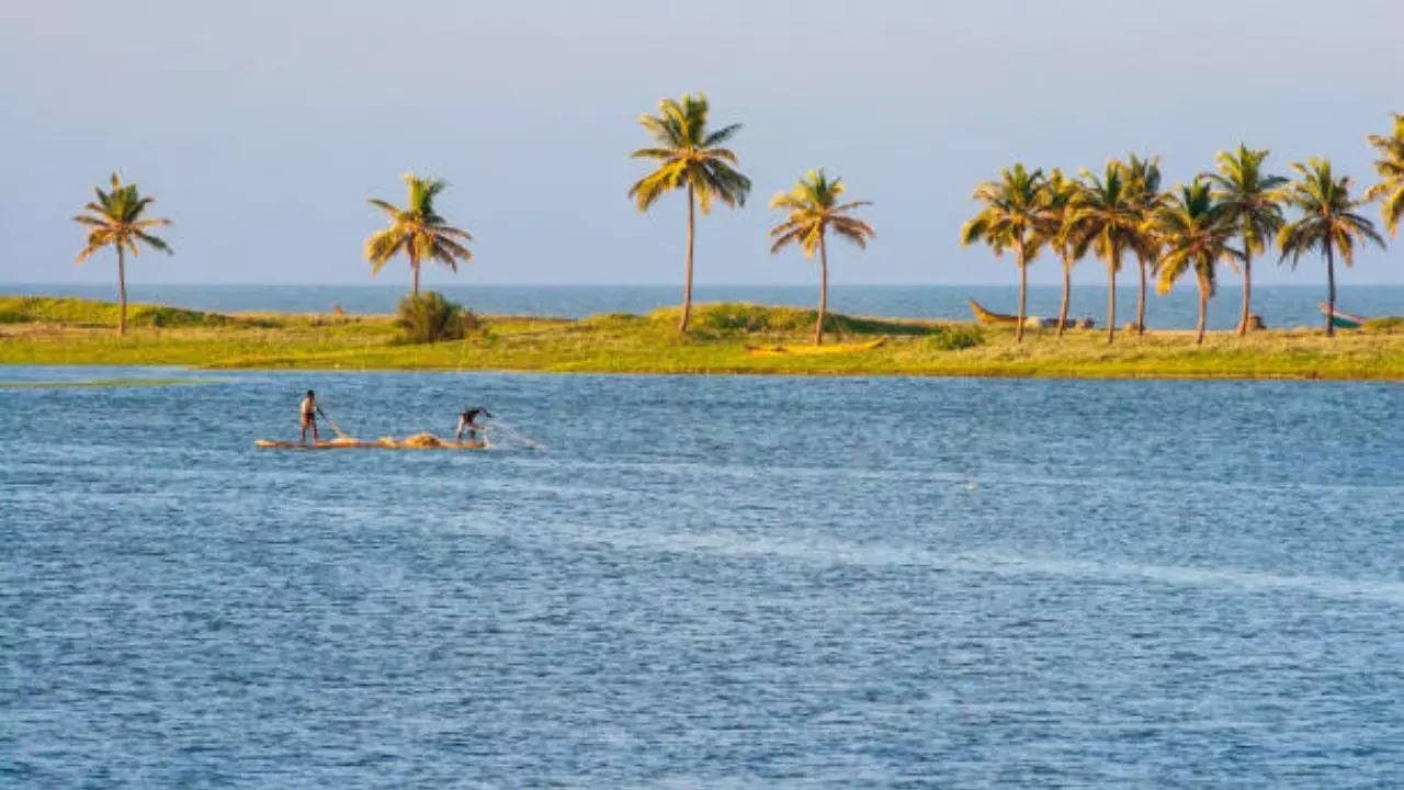 Buckingham Canal In Chennai