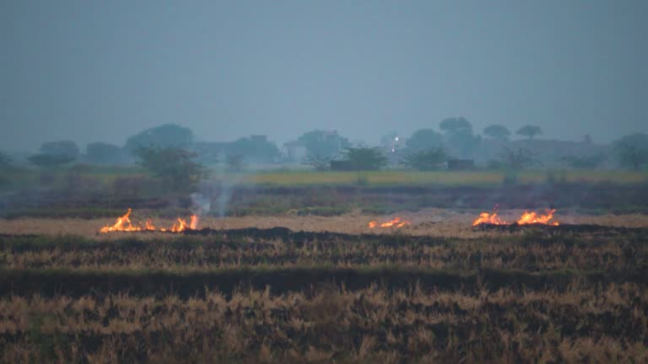 Stubble burning and Delhi air pollution