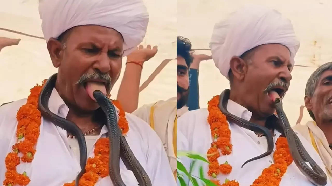 Viral Video snake bites man's tongue video goes viral