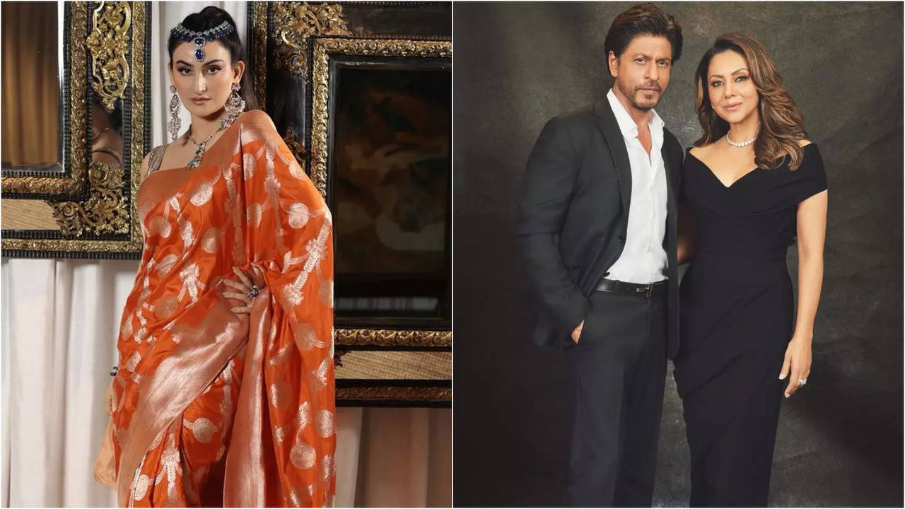 Fabulous Lives Vs Bollywood Wives Fame Shalini Passi Reveals Shah Rukh Khan, Gauri Khan's Reaction To Her Debut - EXCL