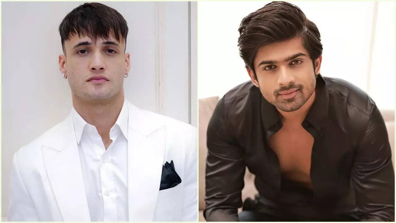 Truth Behind Asim Riaz’s Comment On Abhishek Kumar’s Cross-Dressed Look Revealed