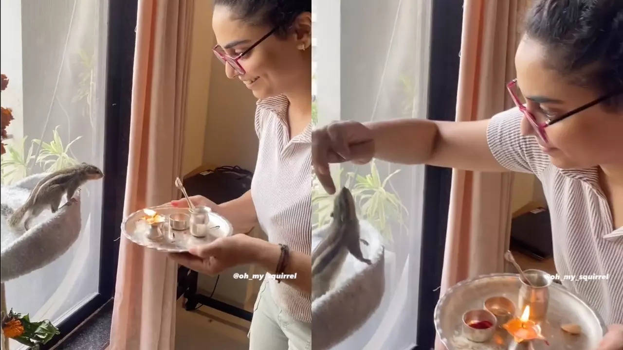 Aayushi Jain celebrates Bhai Dooj with her pet squirrel, Gillraj. | @oh_my_squirrel/Instagram