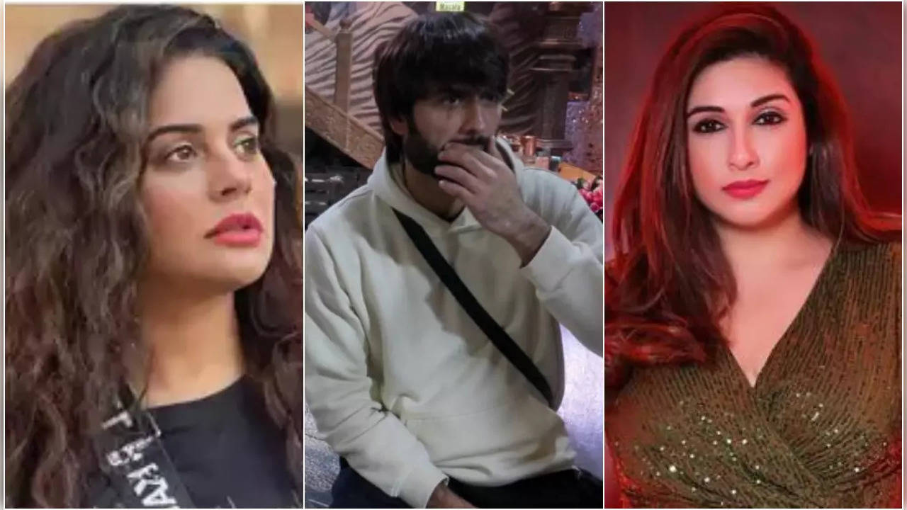 Bigg Boss 18: Sara Khan Says Vivian Dsena's Ex-Wife Vahbiz Told Her 'Ye Tang Karta Hain'