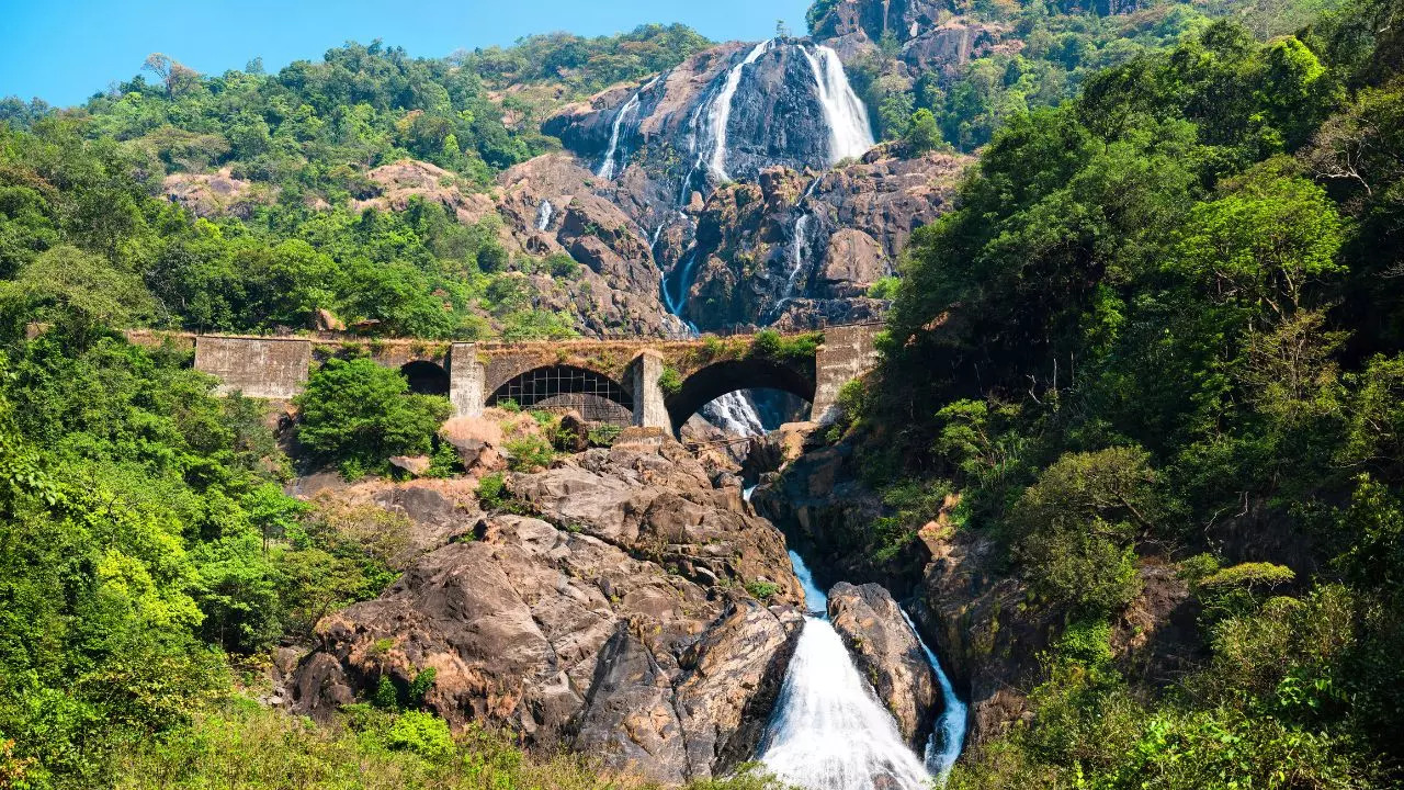 Tours To Goa’s Iconic Dudhsagar Falls Begin Again. Credit: Canva