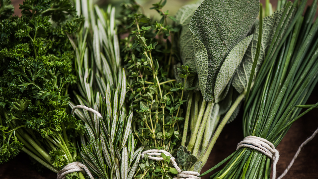 tips to store fresh herbs during the winter season