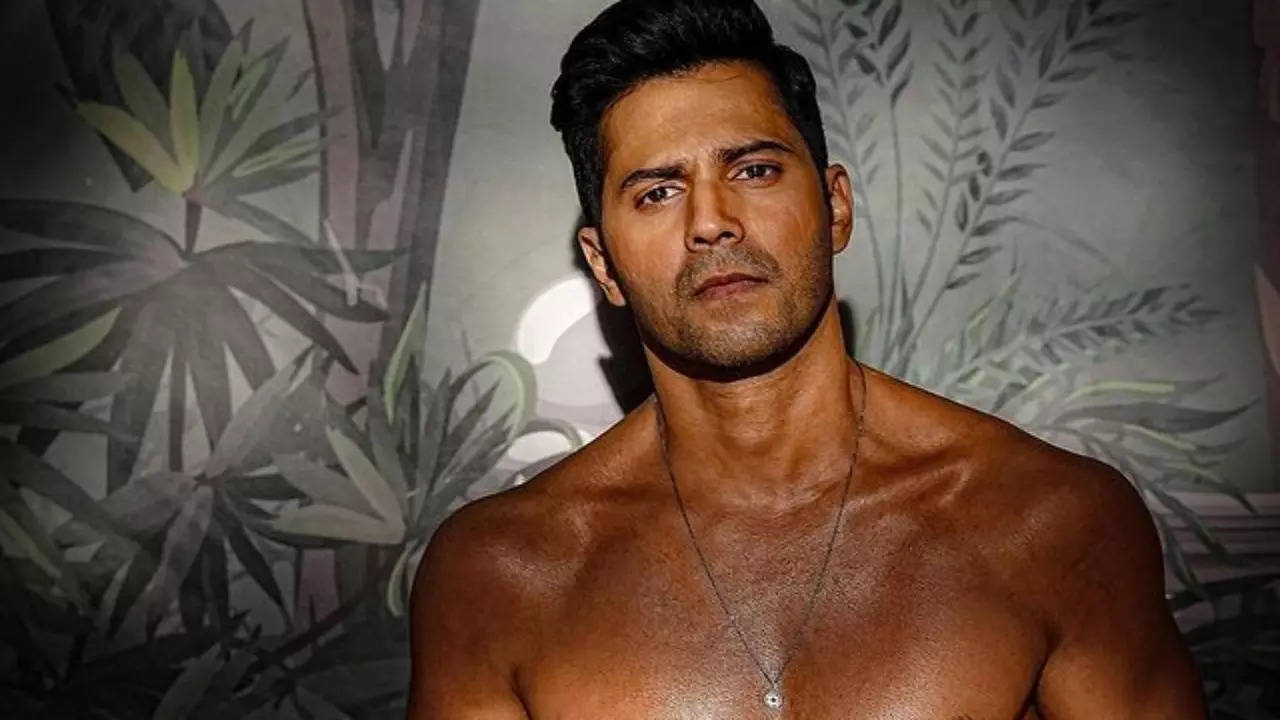 Varun Dhawan REACTS As Fan Jokes 'Har Director Usko Nanga Dikhana Chahta Hai' After Citadel: Honey Bunny Naked Scene