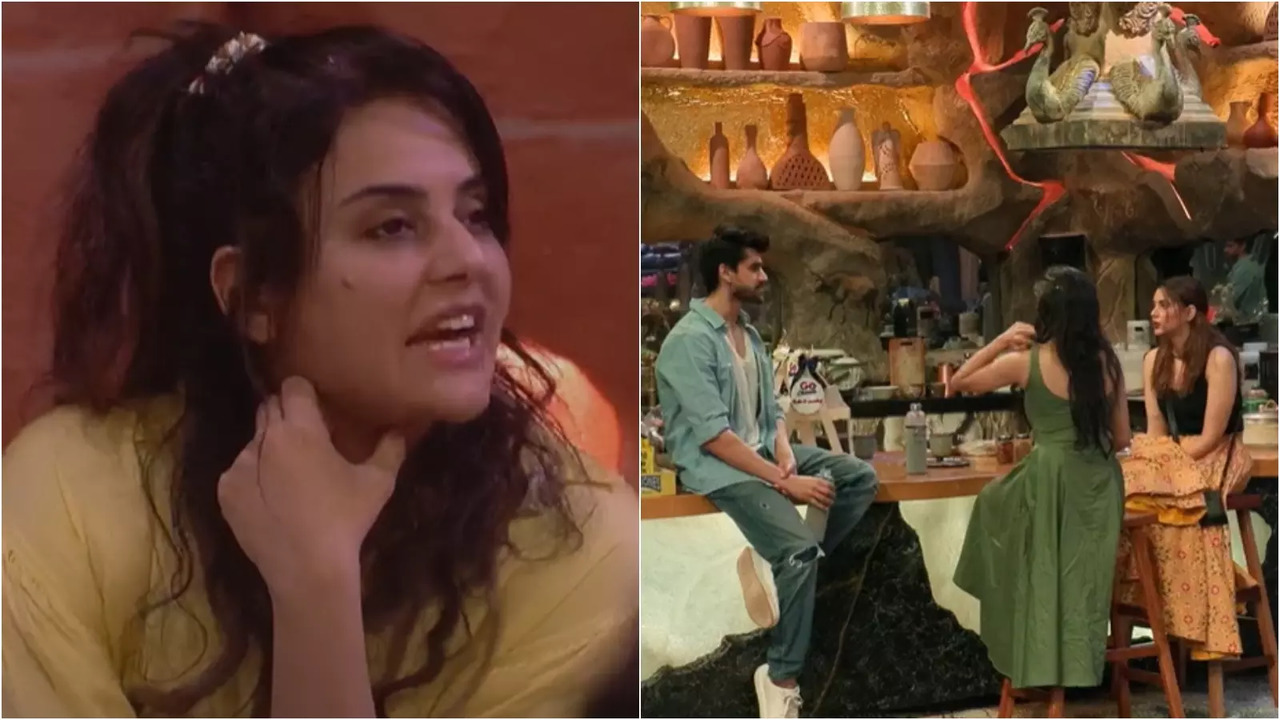 Bigg Boss 18: Sara Arfeen Khan Attacks Avinash Mishra, Says Eisha Singh And Alice Kaushik Are His 'Eye-Candy Players'